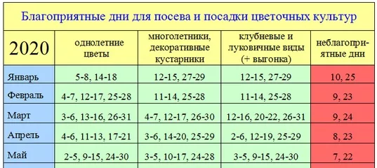 По лунному календарю можно пересаживать цветы лунный календарь для комнатных растений и цветов на 2020 год: 7 тыс изображений 