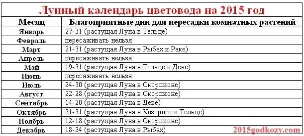 По лунному календарю можно пересаживать цветы Лунный календарь цветовода на 2015 год (пересадка комнатных растений)?