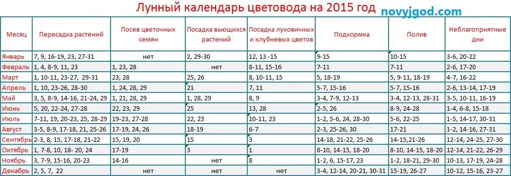 По лунному календарю можно пересаживать цветы Картинки ПОСАДКА КОМНАТНЫХ РАСТЕНИЙ ПО ЛУННОМУ