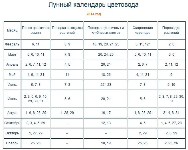 По лунному календарю можно пересаживать цветы Картинки ПЕРЕСАДКА ЦВЕТОВ В ОКТЯБРЕ 2023