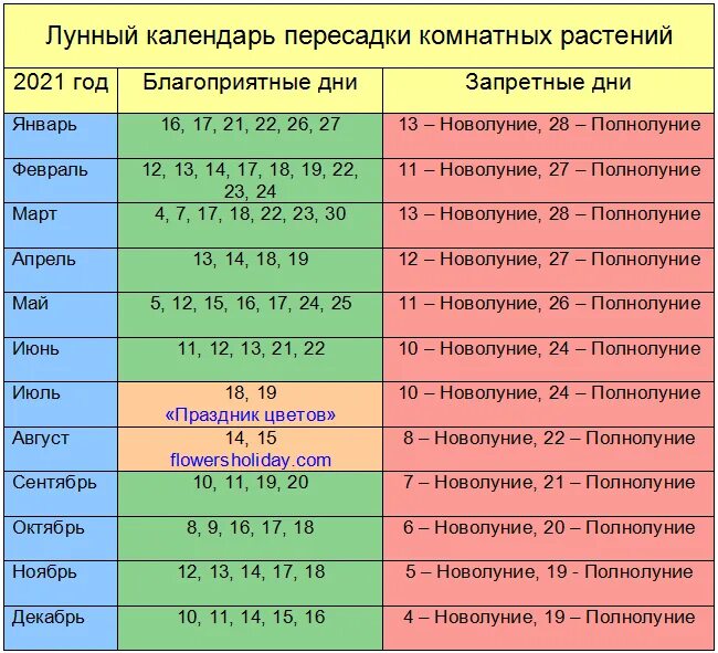 По лунному календарю можно пересаживать цветы Лучшие дни для пересадки комнатных растений Фитостудия-63.ру