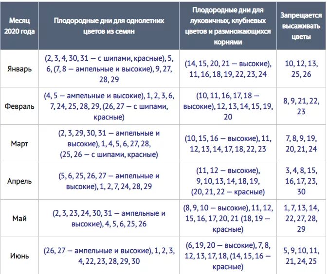 По лунному календарю можно пересаживать цветы Картинки БЛАГОПРИЯТНЫЕ ДНИ В ФЕВРАЛЕ ДЛЯ ПЕРЕСАДКИ РАСТЕНИЙ