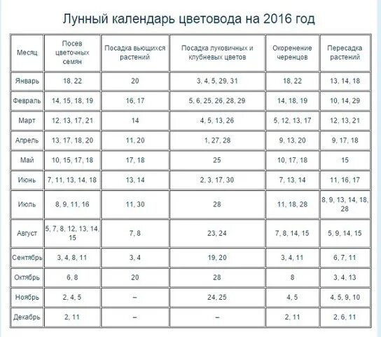 По лунному календарю можно пересаживать цветы Комнатные растения, цветы! Покуп/прод, полезное! Приглашаем ВСЕХ профессионалов 