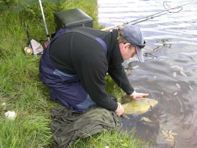 По осени на что ловить линьков Fishing In Ireland - Angling Ireland - Blog