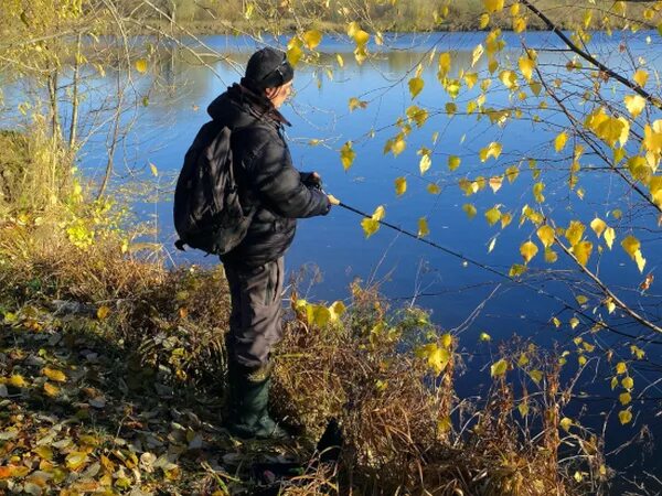 По осени на что ловить линьков Ловля пескаря осенью