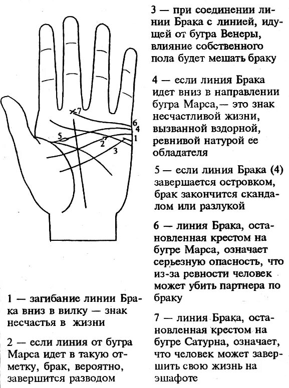 По руке определить линию жизни фото Вы и ваша рука