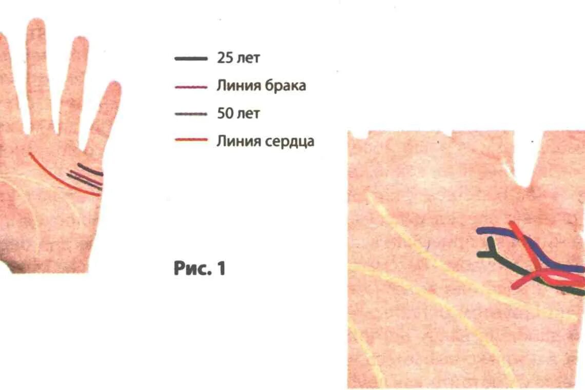 По руке определить линию жизни фото Как узнать по руке, сколько будет детей - Journal UA