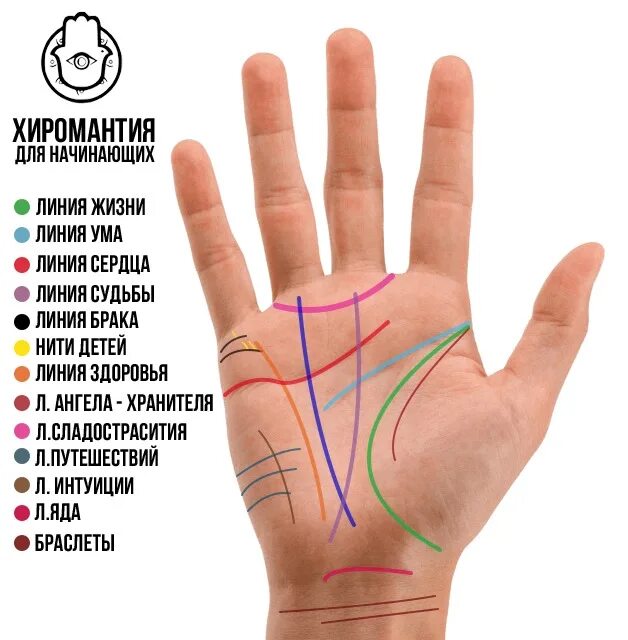По руке определить линию жизни фото Коллекция линий на руке: короткое путешествие по карте ладоней Сейчас ознакомимс