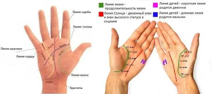 По руке определить линию жизни фото Узнать сколько по судьбе детей