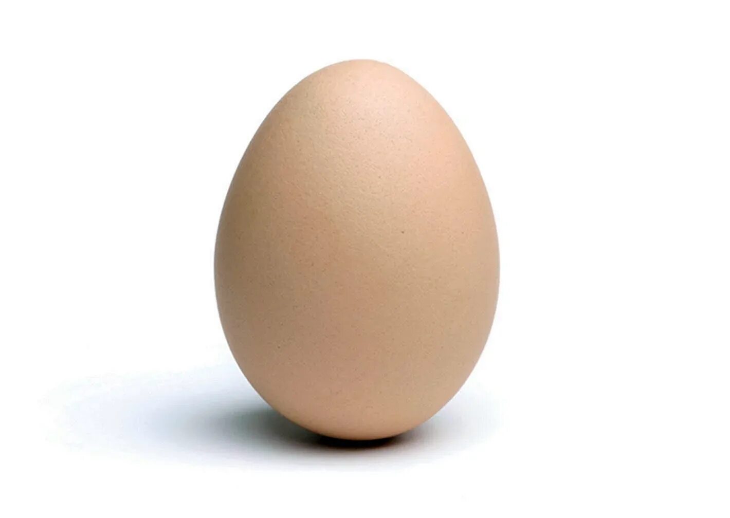 По самое яйцо фото This egg