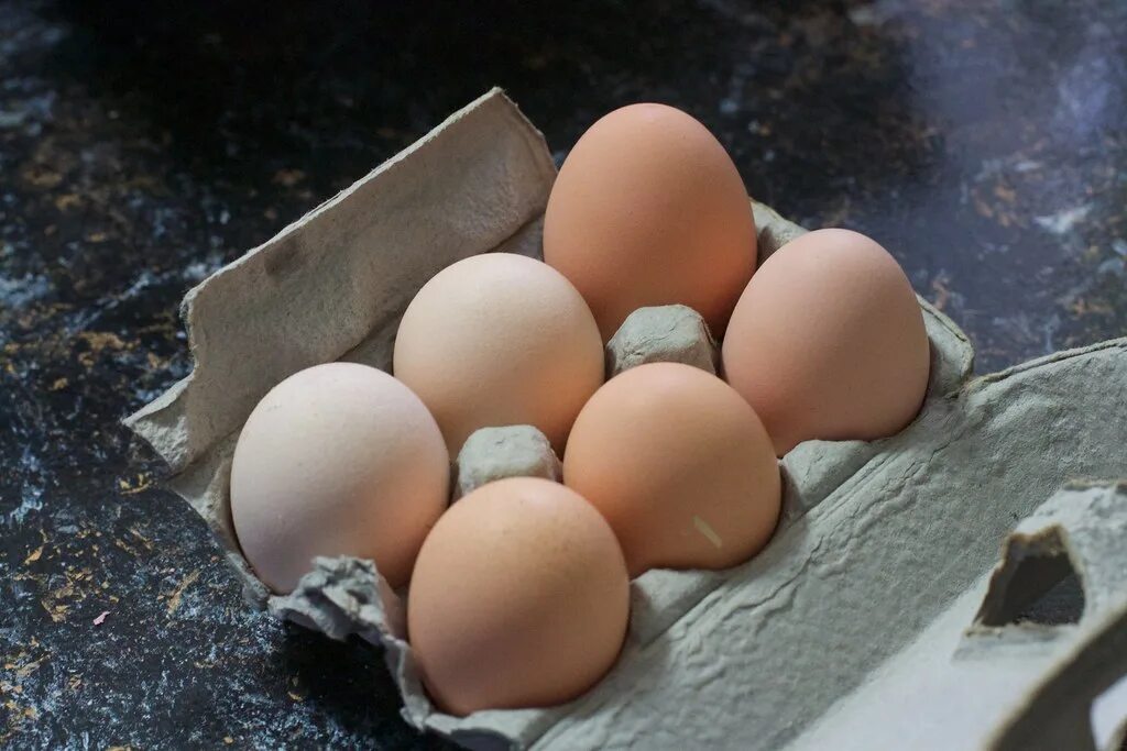 По самое яйцо фото The Big Egg My friends shared some outputs from their chic. Flickr