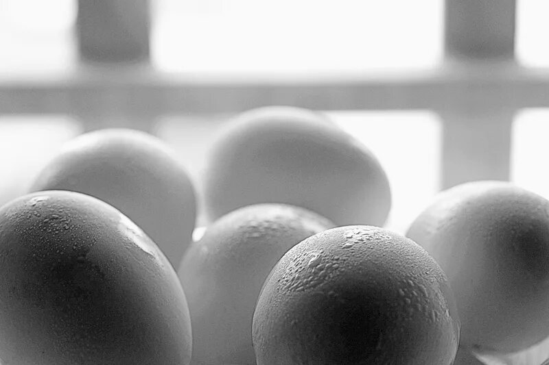 По самое яйцо фото Фото Eggs - фотограф Oscar - черно-белые - ФотоФорум.ру