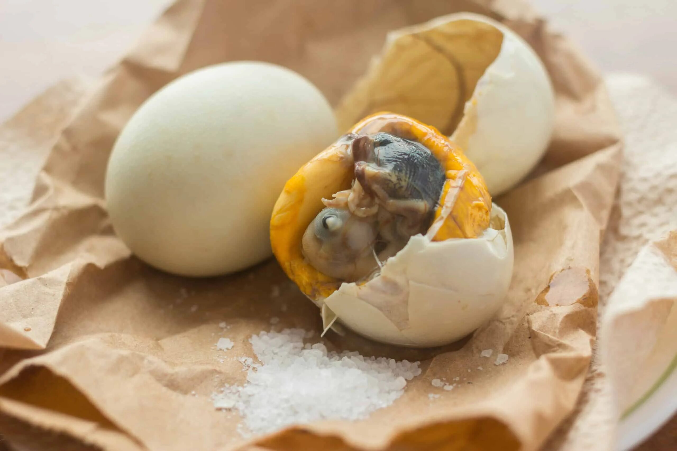 По самое яйцо фото 20 Most Unique Street Foods from Around the Globe