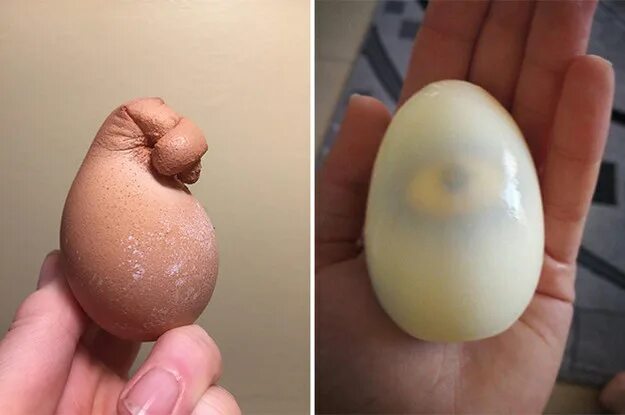 По самое яйцо фото Egg