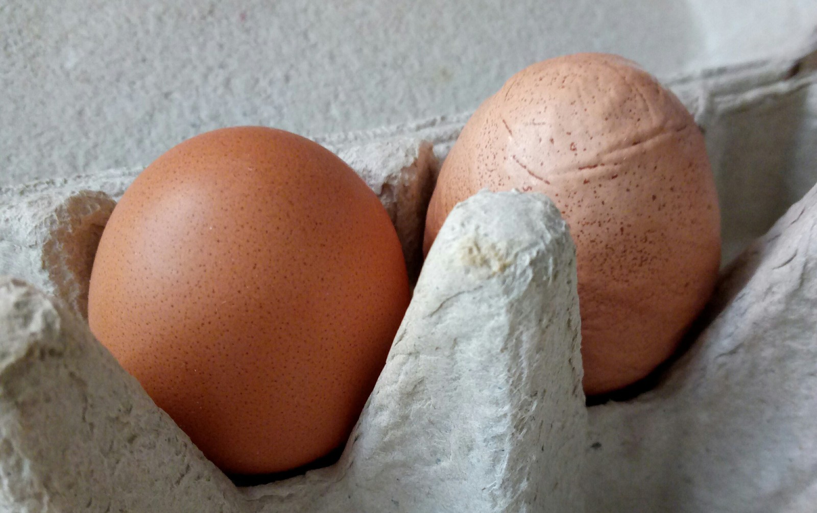 По самое яйцо фото The mysterious story of one egg - pikabu.monster