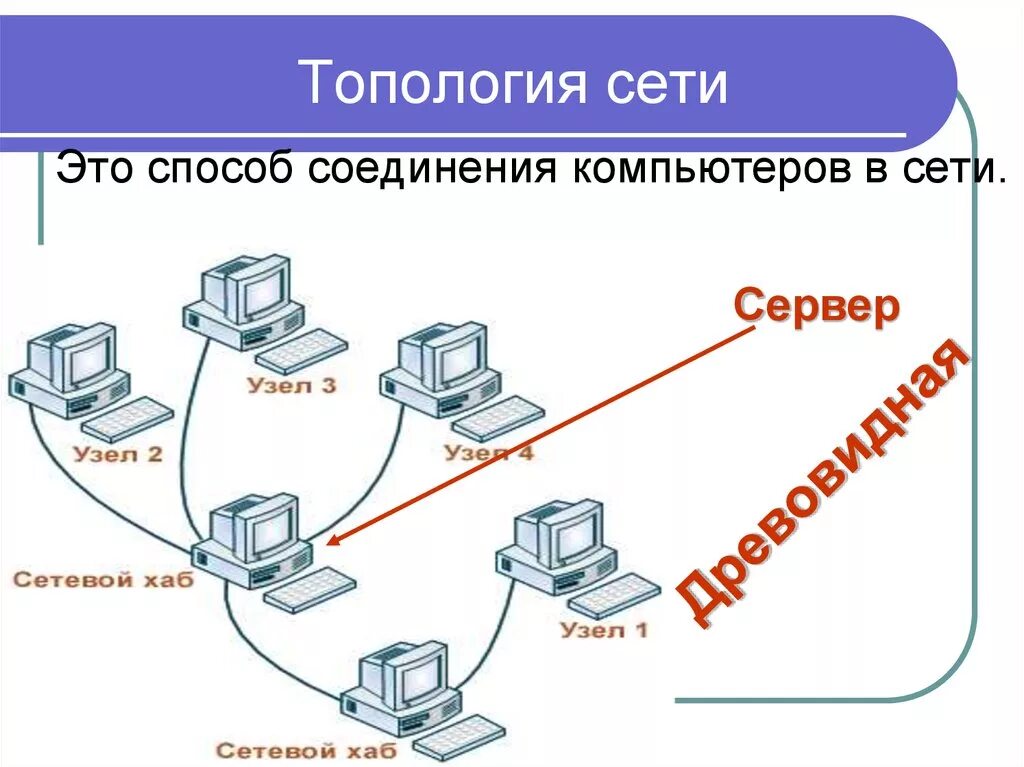 По способу соединения компьютеров сети бывают Соединение компьютеров сеть