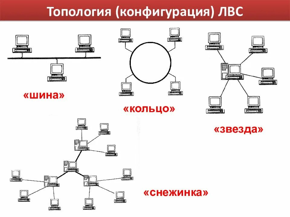 По способу соединения компьютеров сети бывают Разделение компьютерных сетей