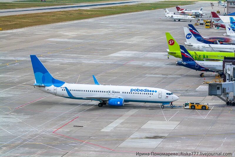 Победа 737 800 фото ОфСпот Сочи-2017. Часть 2: aeroriska - ЖЖ