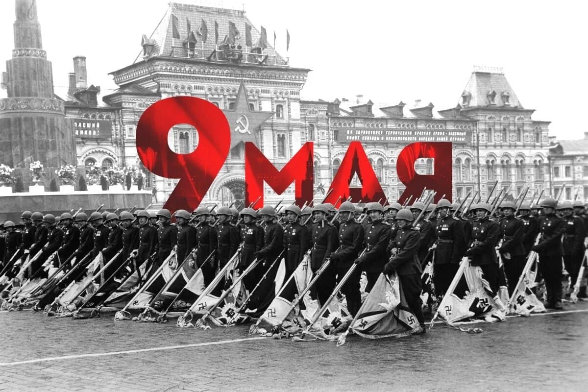 Победа 77 фото В Эстонии запретили символику Дня Победы Sharly Дзен