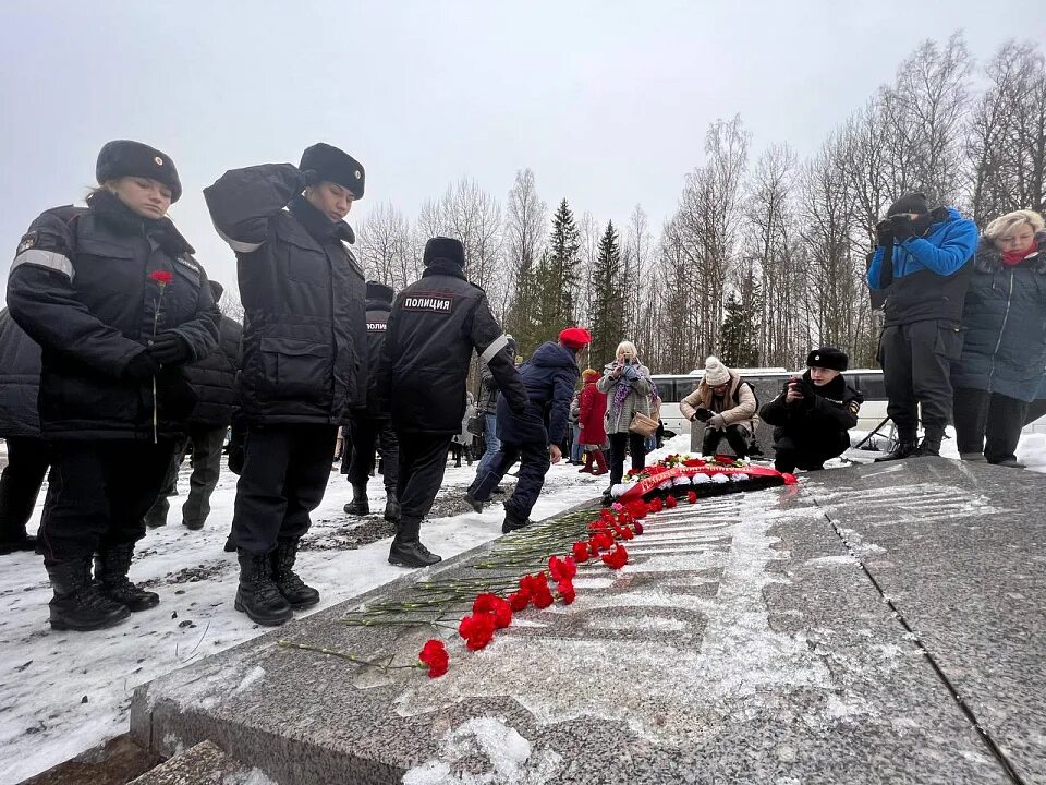 Победа ленинградская ул 22 фото В честь Ленинградской победы - по кольцу Ораниенбаумского плацдарма