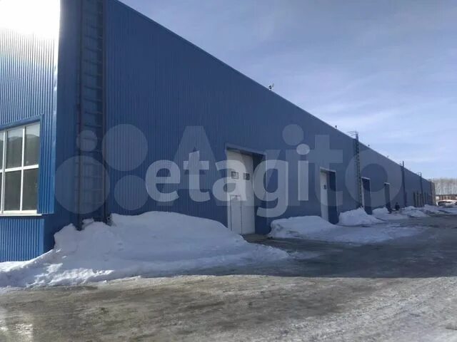Победа старый тобольский тракт 157 тюмень фото Сдам офисное помещение, 150 м² в Тюмени Аренда коммерческой недвижимости в Тюмен