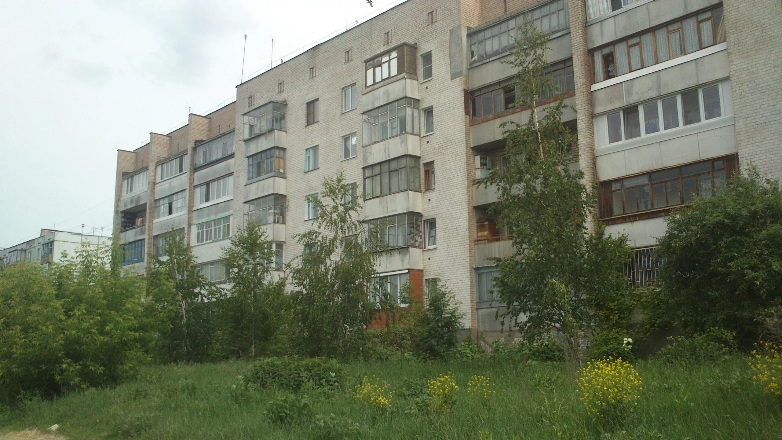 Победа ул гайдара 41 фото ул. Гайдара, 36 - Орёл