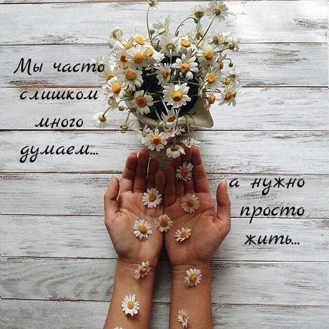 Победа за нами картинки с позитивными Женский сарказм Cool words, Pretty wallpapers, Postcards
