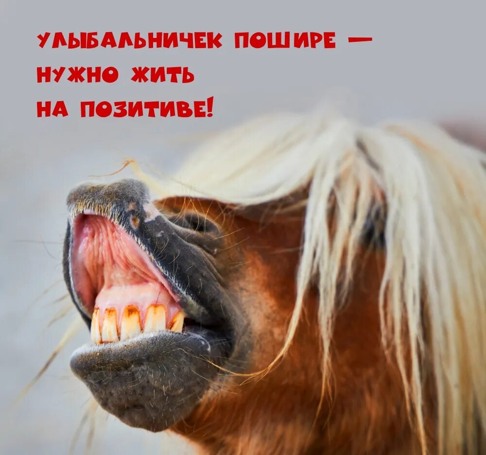 Победа за нами картинки с позитивными Картинки с надписью - Улыбальничек пошире - нужно жить на позитиве!