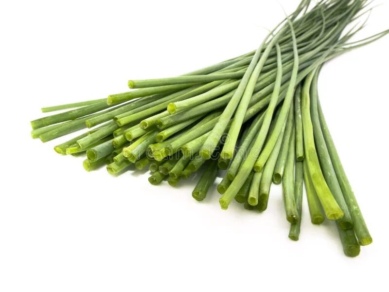 Побеги чеснока фото 56,439 Chives стоковые фото - бесплатные и стоковые фото RF от Dreamstime - Стра