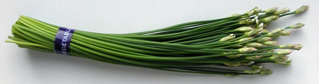 Побеги чеснока фото Flowering Chives These are the flower stems, not the leave. Flickr