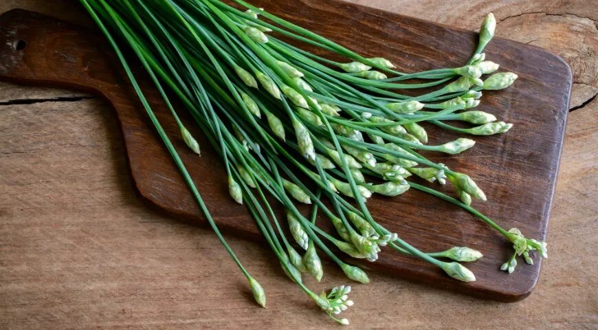 Побеги чеснока фото 10 продуктов, из которых можно вырастить зелень дома - читать на Gastronom.ru