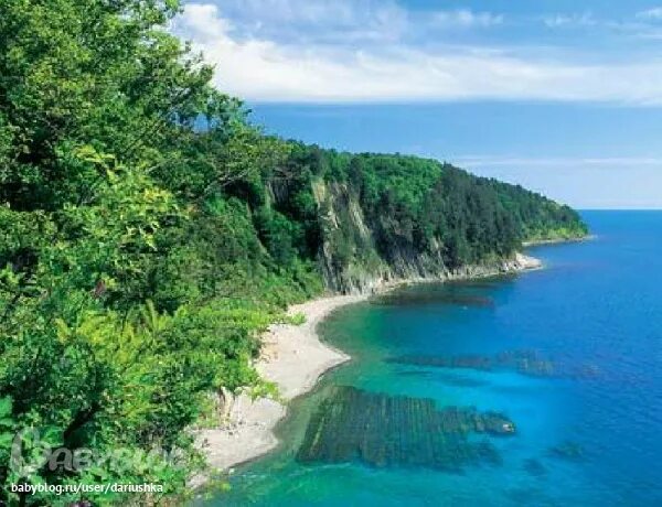 Побережье черного моря краснодарский край фото Около 300 детей-инвалидов получат путевки в санатории на Черном море