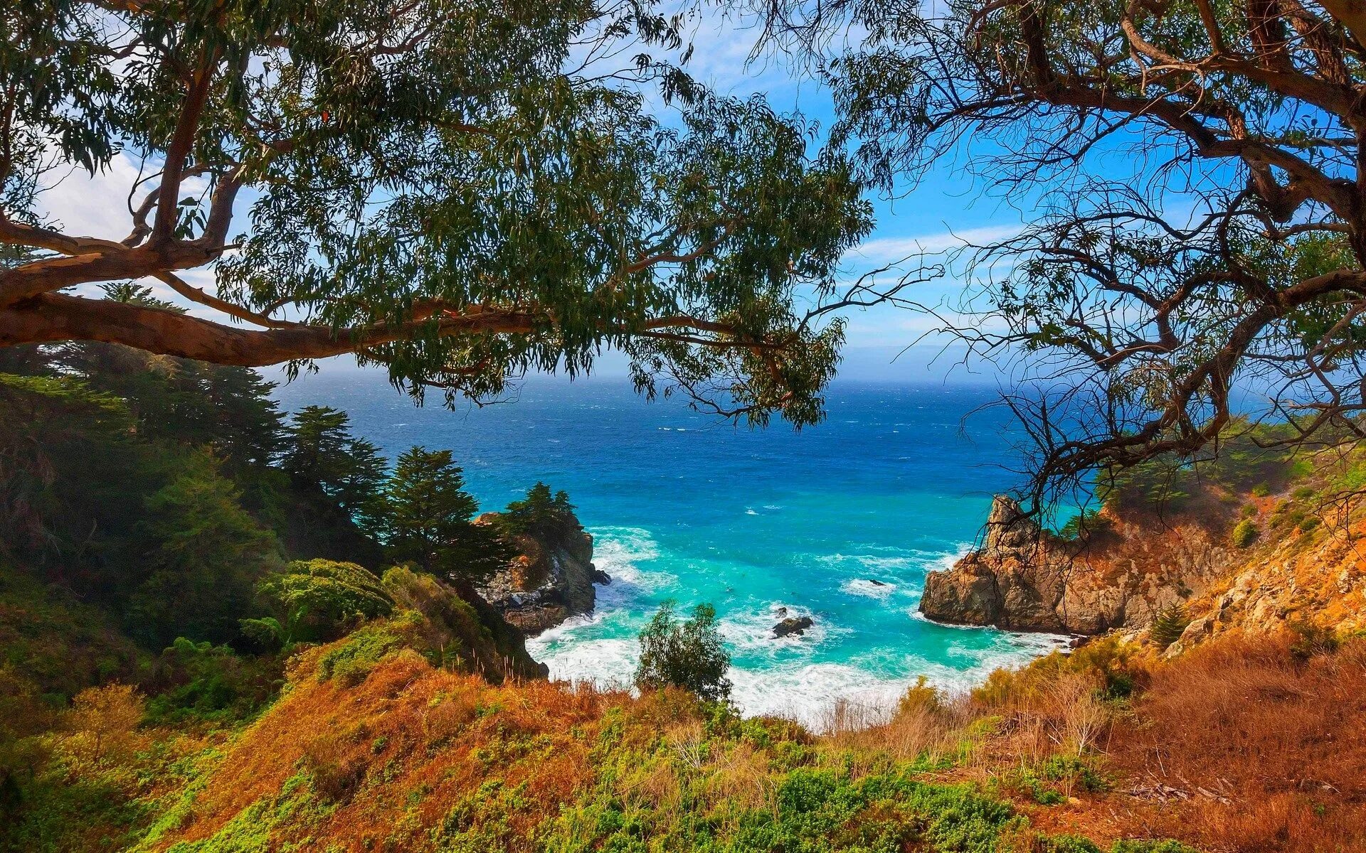 Побережье природа фото hd wallpaper of nature (1920x1200) Mcway falls, Big sur, State parks