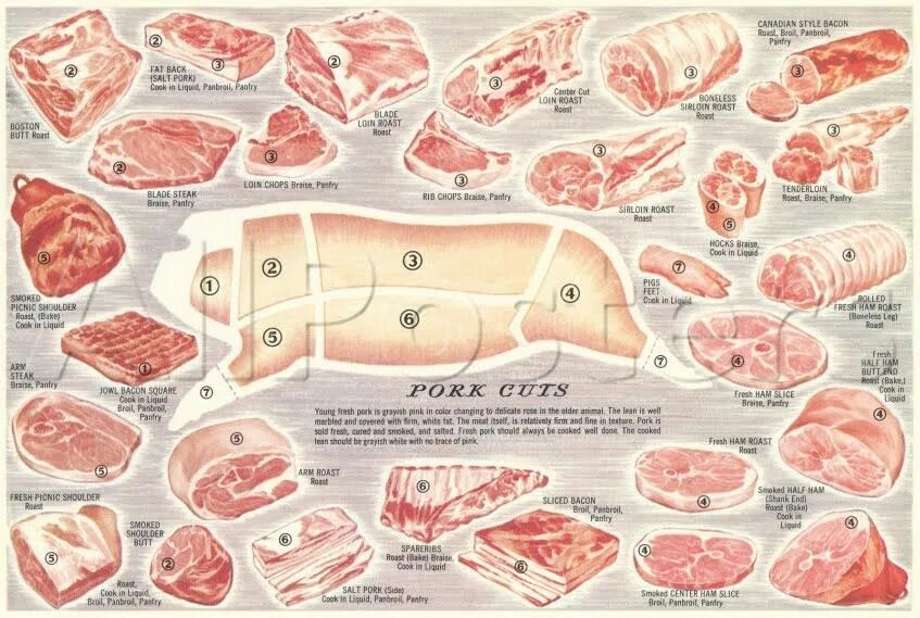 Почечная часть свинины фото pork brisket - Buscar con Google Pork cuts chart, Food poster, Pork