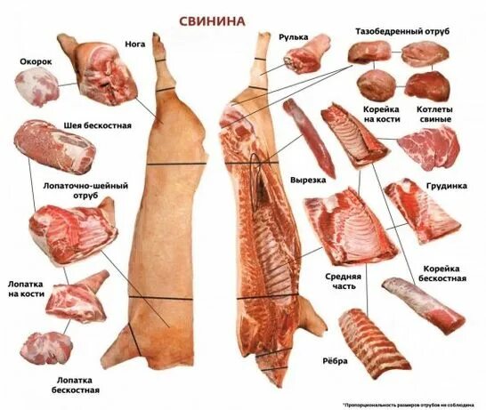 Почечная часть свинины фото А Район - Продукти харчування / напої в Жовква - OLX.ua