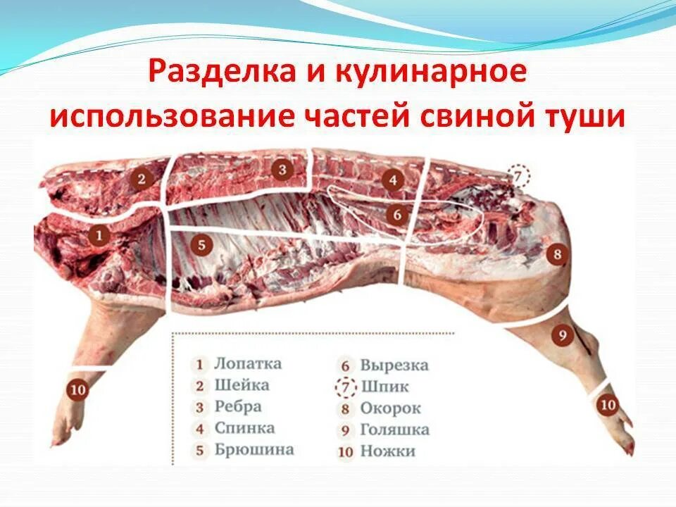 Почечная часть свинины фото Где больше мяса в передней или задней части свинины CoffMachines.ru