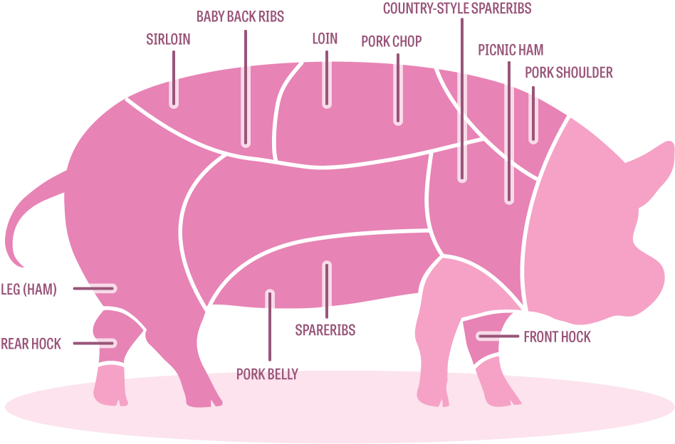 Почечная часть свинины где находится фото Pork Cuts 101: A Diagram - Modern Farmer Boneless pork shoulder, Pork shoulder r