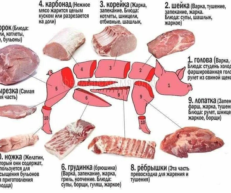 Почечная часть свинины где находится фото Домашняя свинина - купить в Васюринской, цена 220 руб., продано 12 февраля 2020 