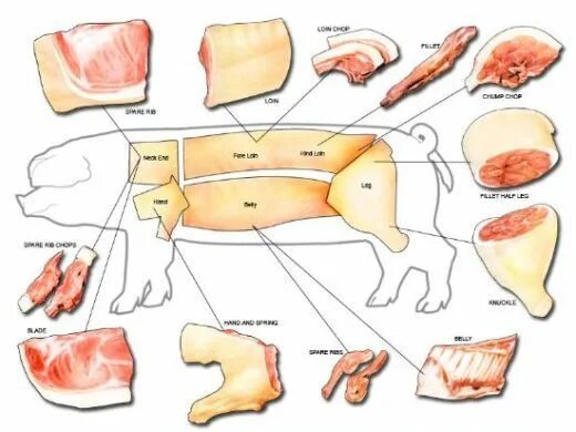 Почечное мясо свинины где находится фото Butcher a Pig Diagram Pig, Pig diagram, Pig roast