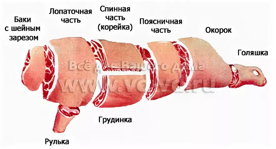 Почечное мясо свинины где находится фото Ответы Mail.ru: почему каждый мясоед считает своим долгом сказать вегетарианцу..