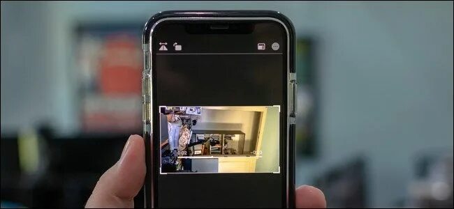 Почему айфон переворачивает фото How to Rotate iPhone Videos Without Installing an App Iphone, Iphone hacks, App