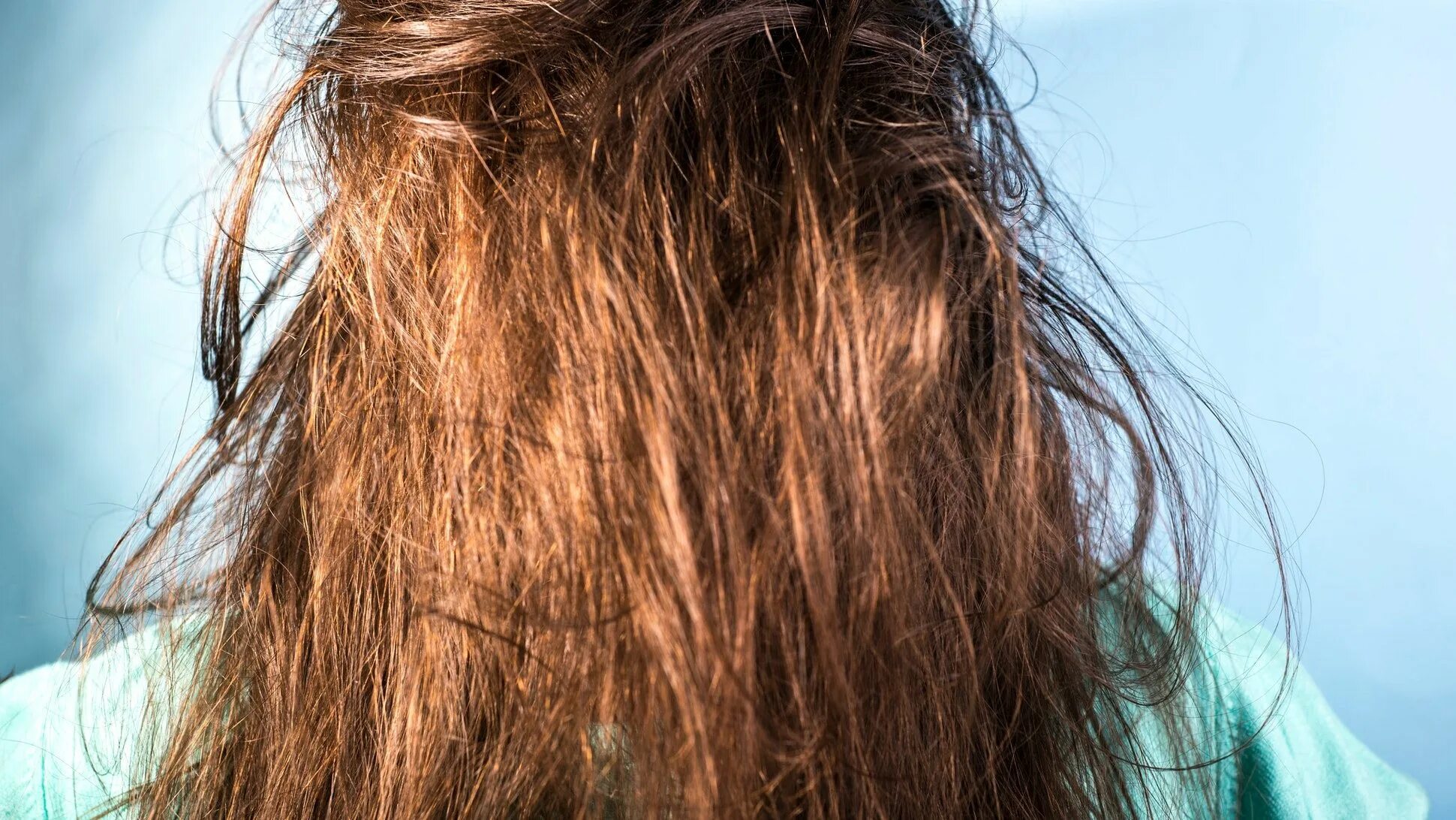 Почему чистые волосы выглядят как грязные Here's Why Your Hair Is Greasy After Washing It Haarpflegemittel, Conditioner