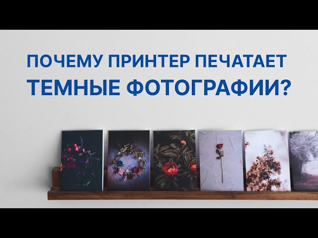 Почему фото печатаются темными Принтер печатает темные картинки - Profhobby.ru