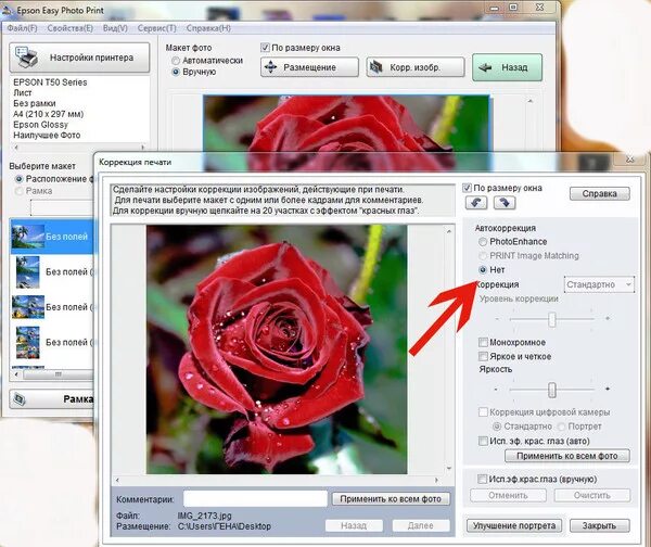 Почему фото при печати темнее Ответы Mail.ru: Почему при печатаний фото на принт .Epson T50 с СНПЧ, фото получ