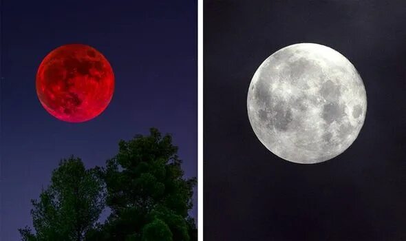 Почему луна на фото маленькая Full Moon 2021 dates: Prepare for 12 Full Moons, 3 Supermoons, 2 Eclipses and 1 