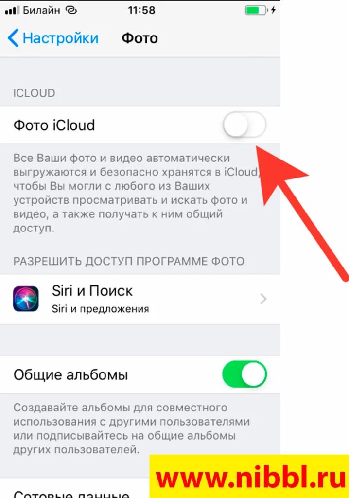 Почему не скинуть фото с айфона ✅ Решено: Как перенести фотографии с компьютера на iPhone ⭐ на windows через iTu