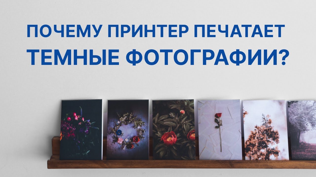 Почему при печати фото получается темнее Почему фотографии печатаются темными? Как это исправить - YouTube