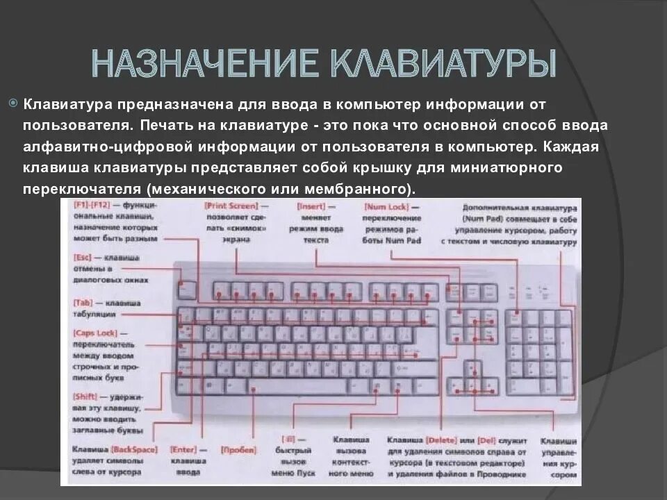 Почему при подключении клавиатуры компьютер клавиатура Какие клавиши отвечают за клавиатуру