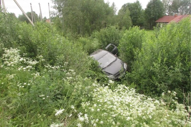 Починок череповецкий район деревня фото В Череповецком районе полицейские предъявили обвинение подозреваемому в совершен