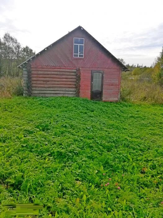 Починок череповецкий район деревня фото Продам дом в деревне Починок Череповецкого района, цена: 1500000 руб, объявление